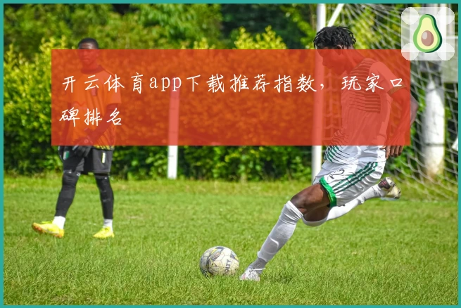 开云体育app下载推荐指数，玩家口碑排名